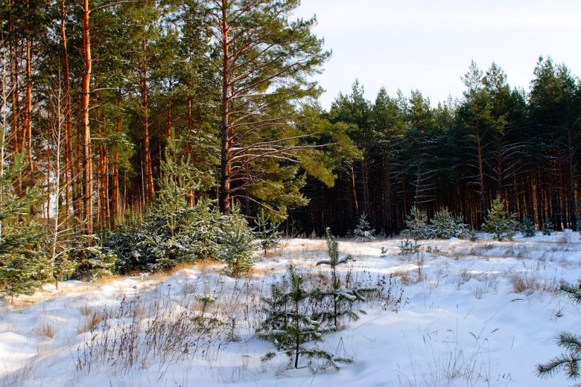 Прелесне з panoramio.com - Прелестное