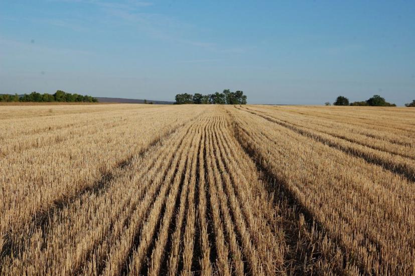 Колядівка з panoramio.com - Колядовка