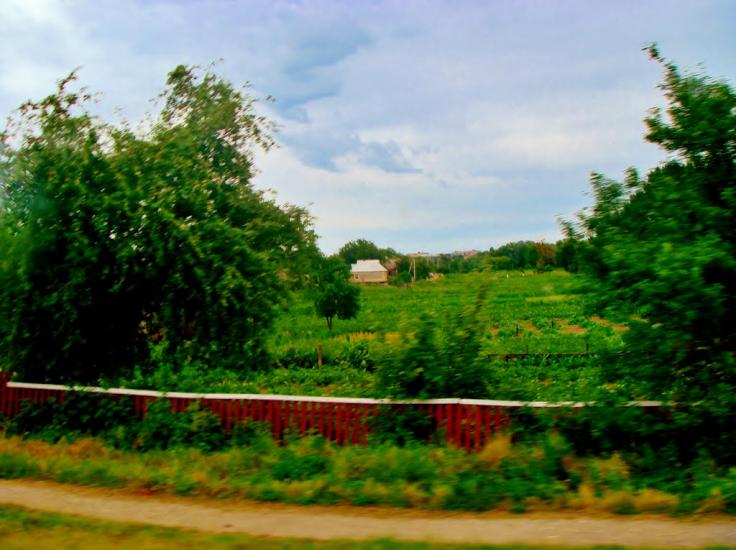 Лисянка з panoramio.com - Лысянка