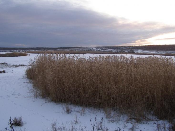 Афанасіївка з panoramio.com - Афанасіївка