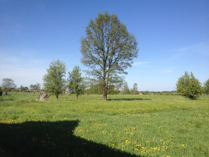 Корощине з panoramio.com - Корощине