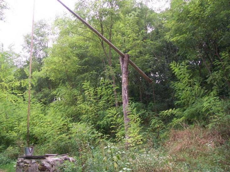 Кружківці з panoramio.com - Кружковцы