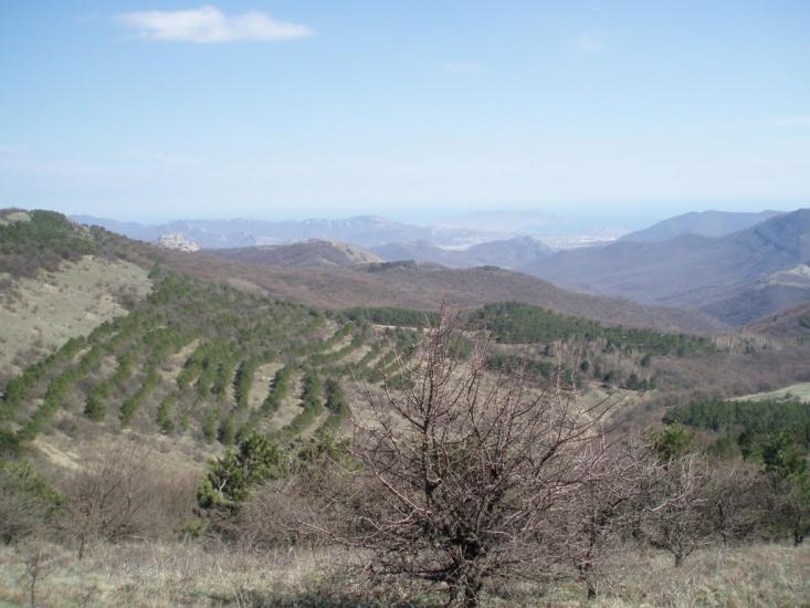 Земляничне з panoramio.com - Земляничное