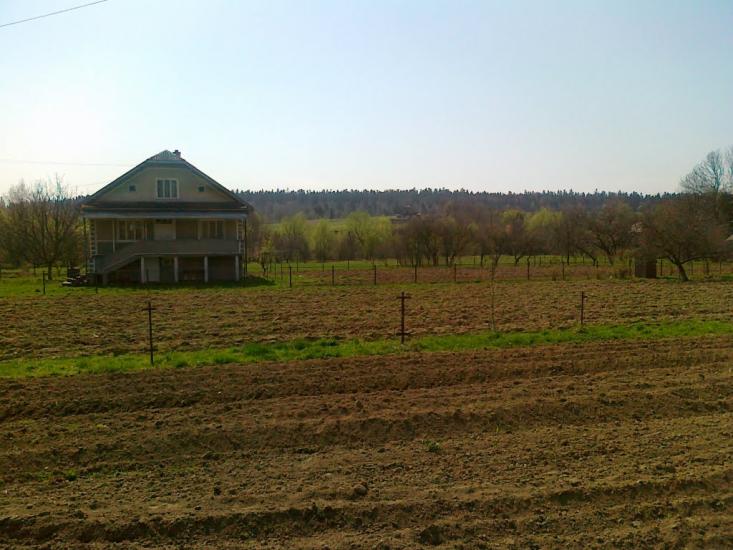 Майдан з panoramio.com - Майдан