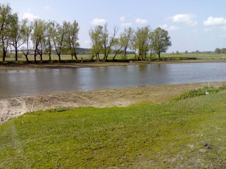 Литвиновичі з panoramio.com - Литвиновичи