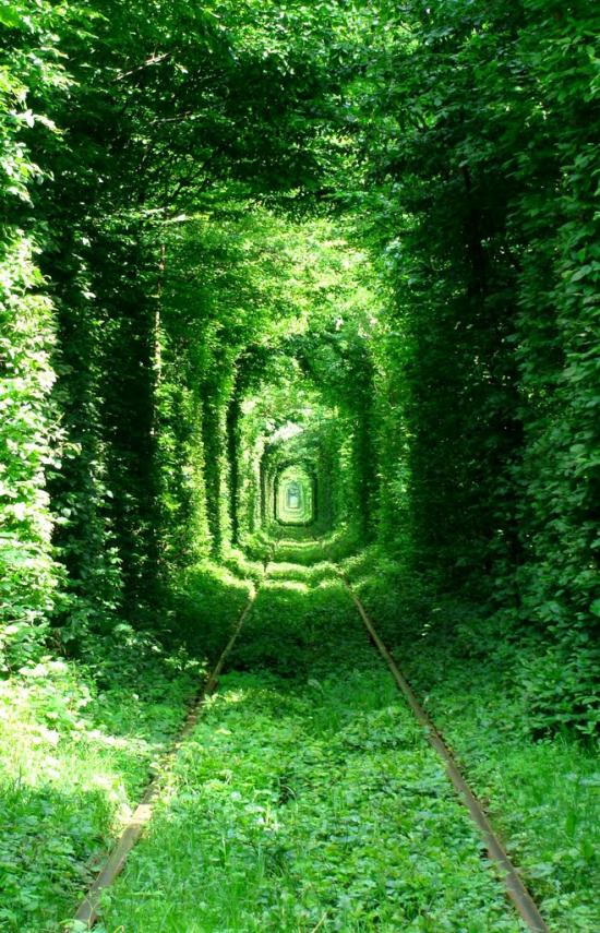Клевань з panoramio.com - Klevan