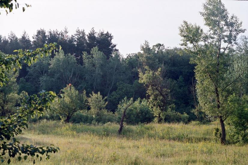 Могилів з panoramio.com - Могилев