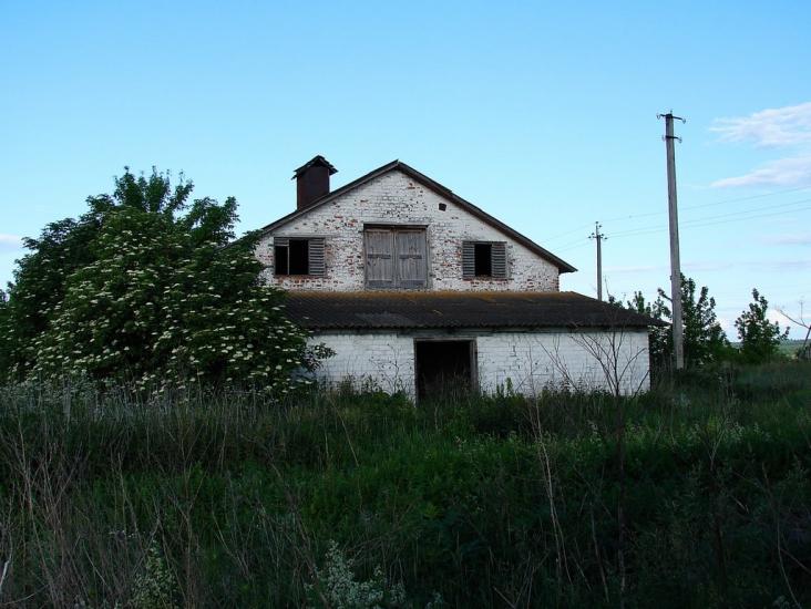 Литвиновичі з panoramio.com - Литвиновичи