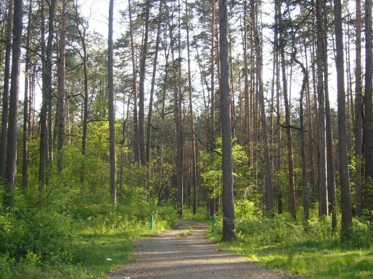 Пісківка з panoramio.com - Песковка