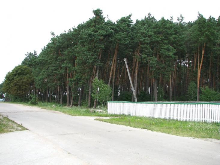 Стригани з panoramio.com - Стриганы
