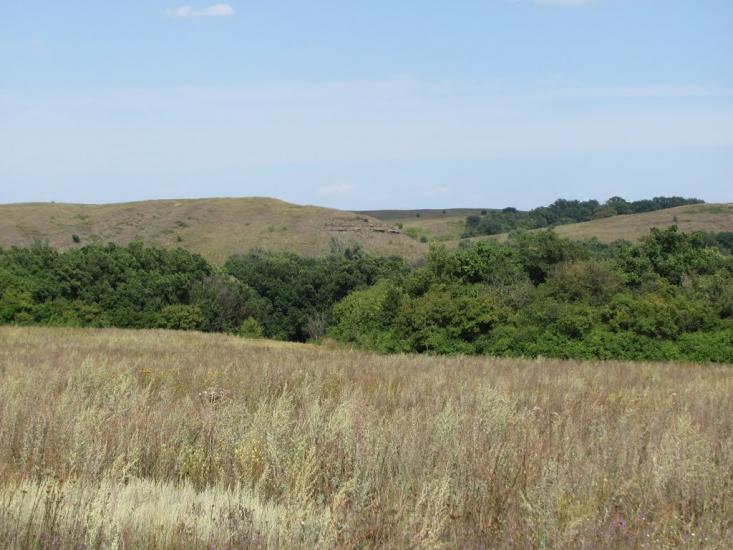Селезнівка з panoramio.com - Селезневка