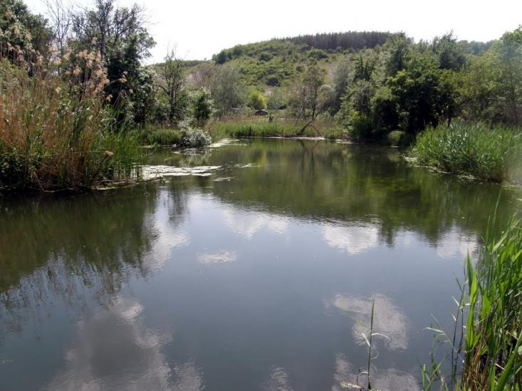 Співаківка з panoramio.com - Спеваковка