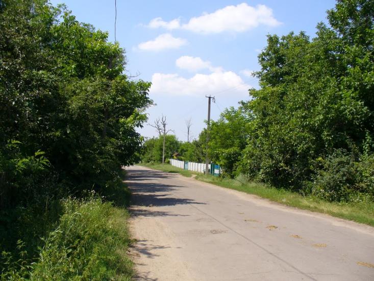 Ольгопіль з panoramio.com - Ольгопіль