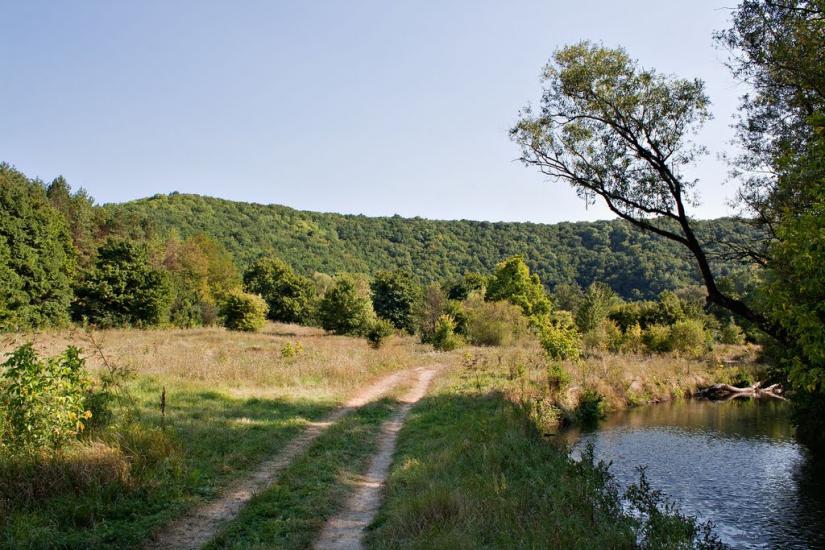 Суржинці з panoramio.com - Суржинці
