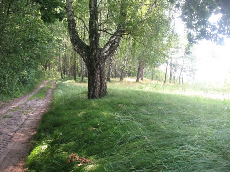 Невір з panoramio.com - Nevir