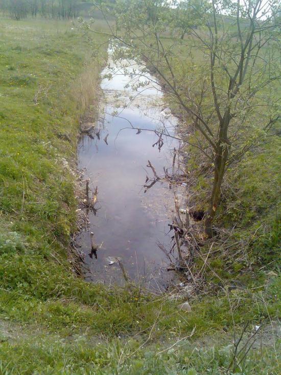 Лаврів з panoramio.com - Лавров
