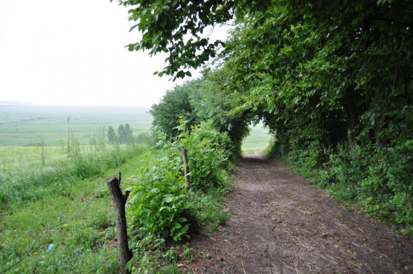 Заріцьк з panoramio.com - Зарецк