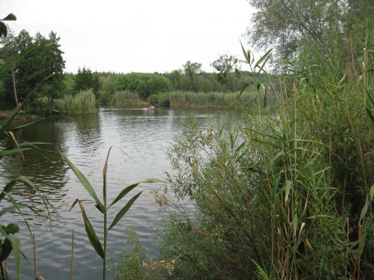 Вільхуватка з panoramio.com - Вільхуватка