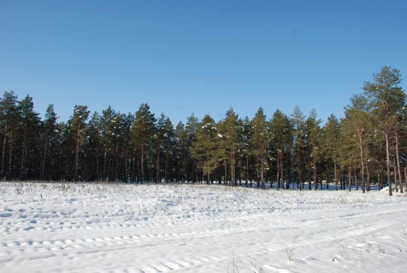 Миколаїв з panoramio.com (ч.4) - Николаев
