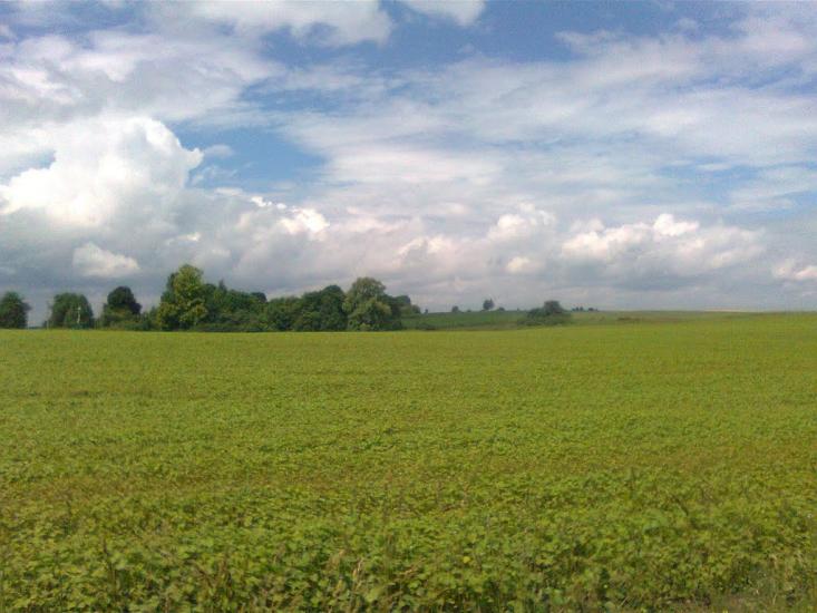 Підвисоке з panoramio.com - Підвисоке