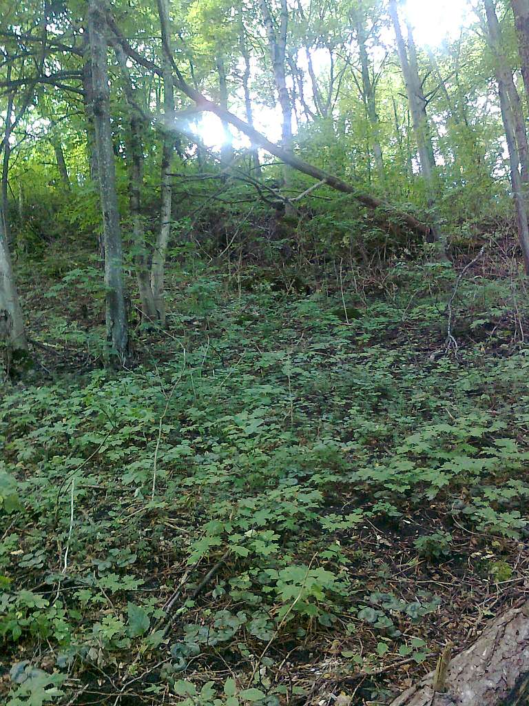 Паївка з panoramio.com - Паївка