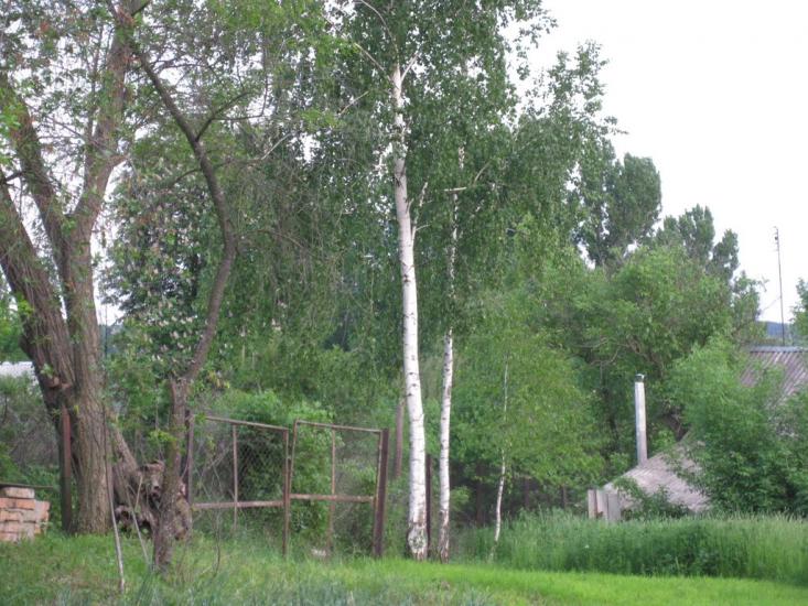 Клубівка з panoramio.com - Клубовка