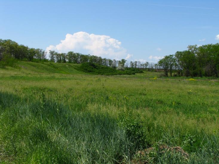 Першотравенськ з panoramio.com - Першотравенск