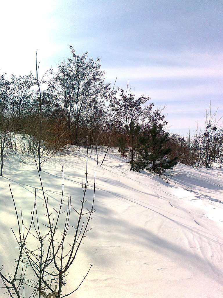 Паївка з panoramio.com - Паївка