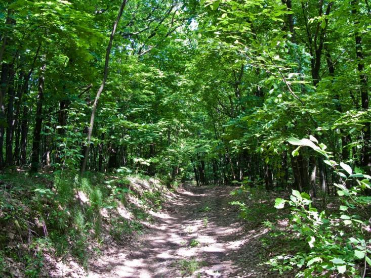 Іваньків з panoramio.com - Іваньків