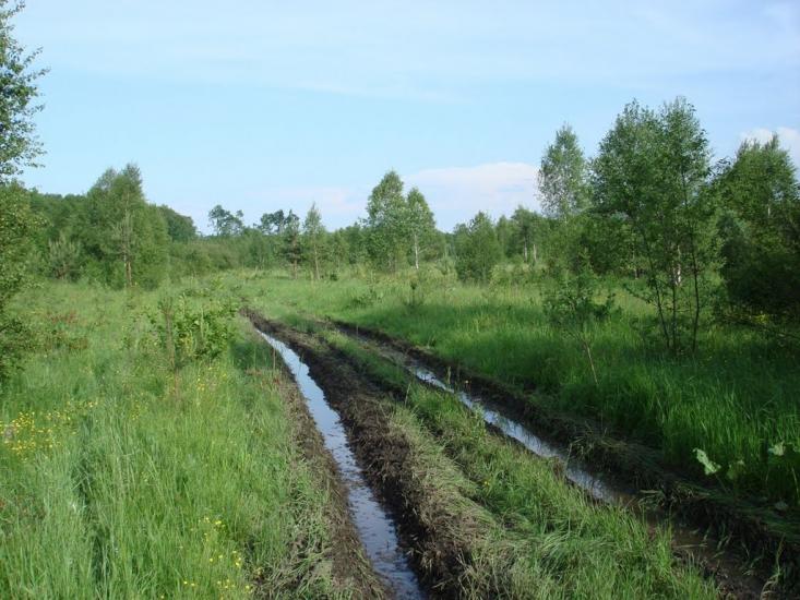 Хрипськ з panoramio.com - Хрипск