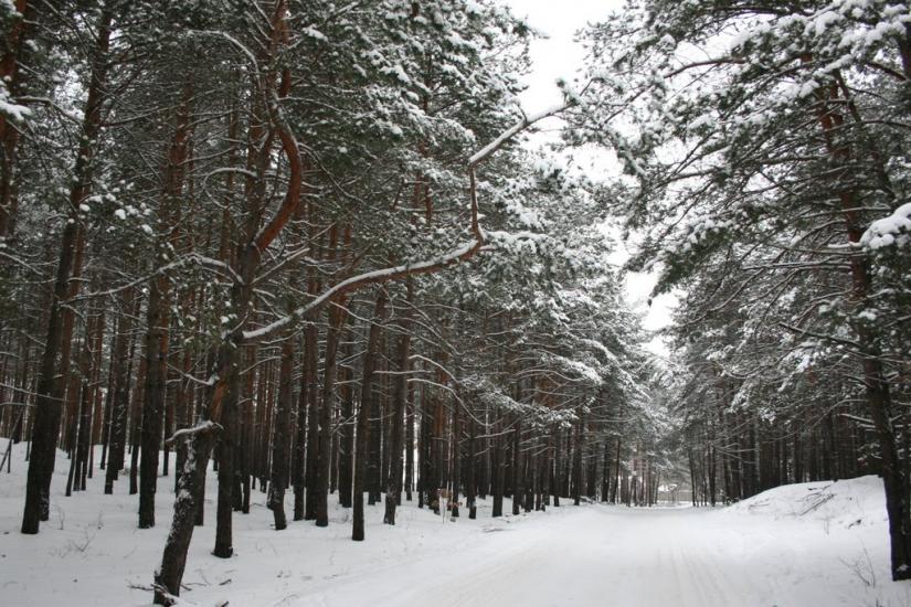 Проців з panoramio.com - Проців