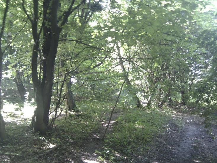 Ярмолинці з panoramio.com - Ярмолинцы
