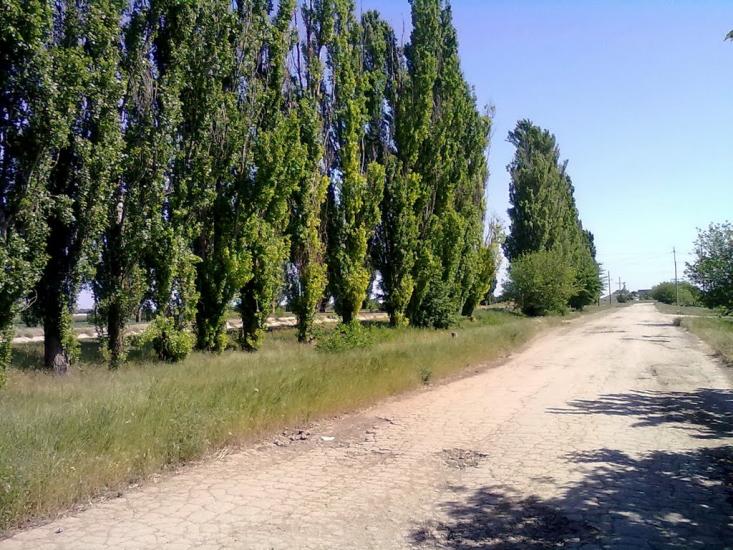 Мар'янівка з panoramio.com - Мар'янівка