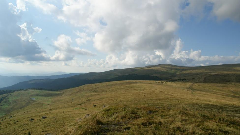 Полянська Гута з panoramio.com - Полянская Гута