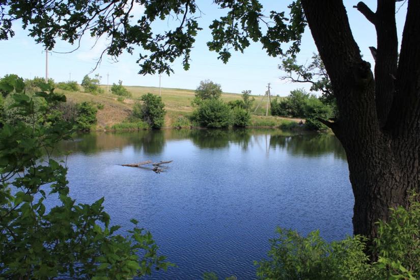 Селезнівка з panoramio.com - Селезневка