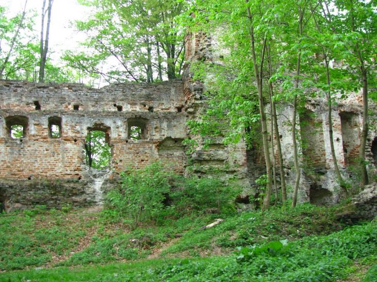 Добромиль з panoramio.com - Dobromyl