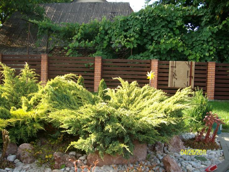 Бедевля з panoramio.com - Bedevlya