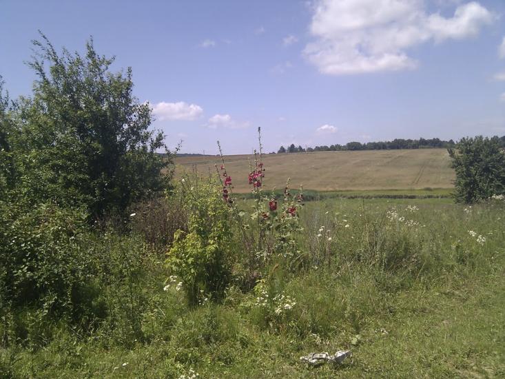 Ярмолинці з panoramio.com - Ярмолинцы