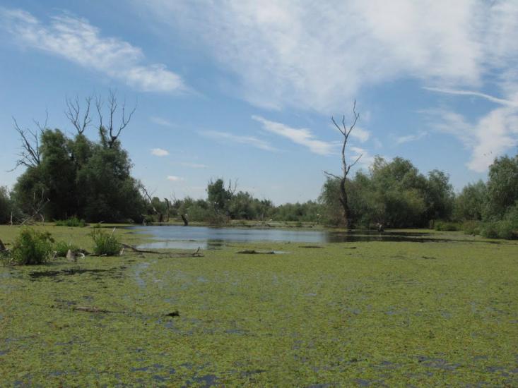 Дунайське з panoramio.com (ч.2) - Дунайське