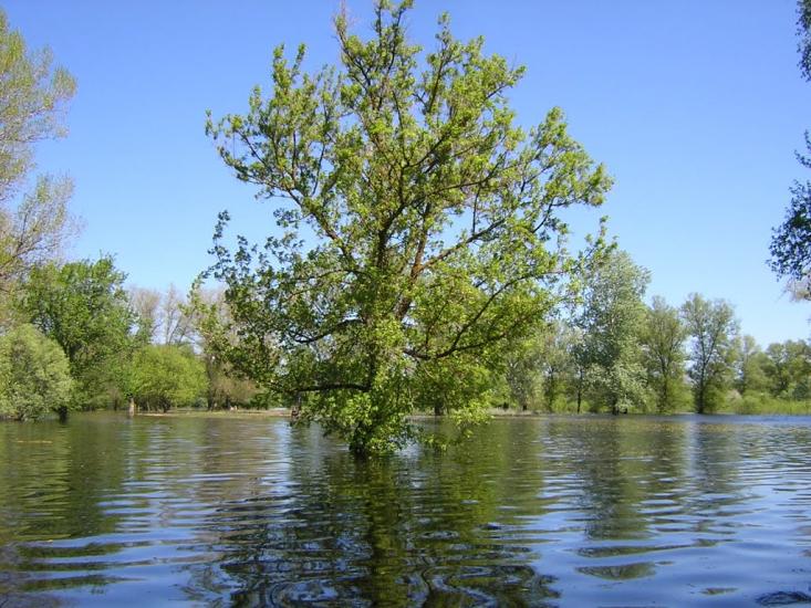 Макошине з panoramio.com - Макошино