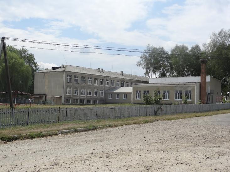 Нижні Петрівці з panoramio.com - Nyzhni Petrivtsi