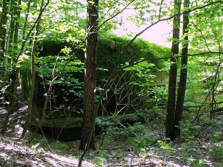 Велика Любаша з panoramio.com - Велика Любаша