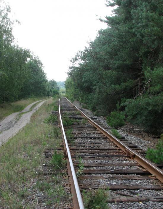 Стригани з panoramio.com - Стриганы