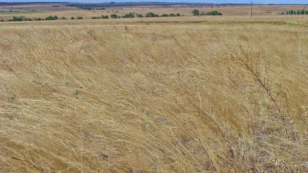 Цупки з panoramio.com - Цупки