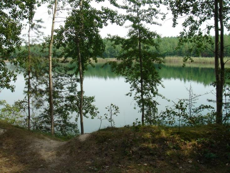 Студениця з panoramio.com - Студеница