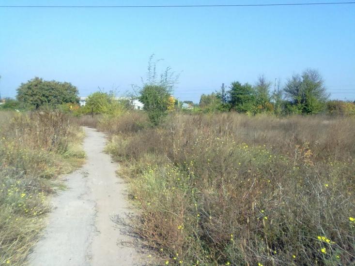 Менжинське з panoramio.com - Менжинское