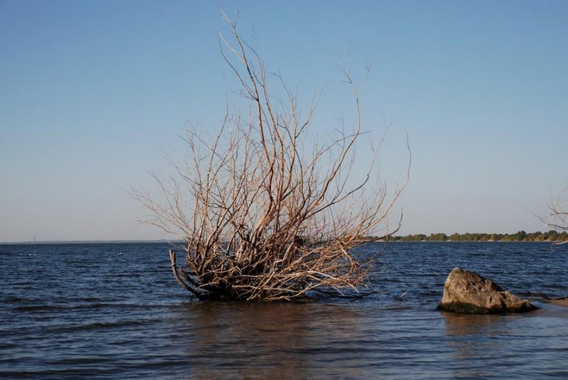 Велика Знам'янка з panoramio.com - Велика Знам'янка