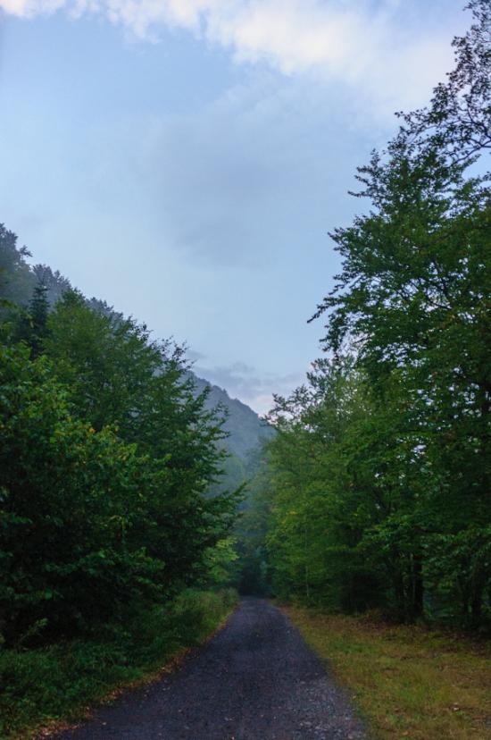 Чорноголова з panoramio.com - Черноголова