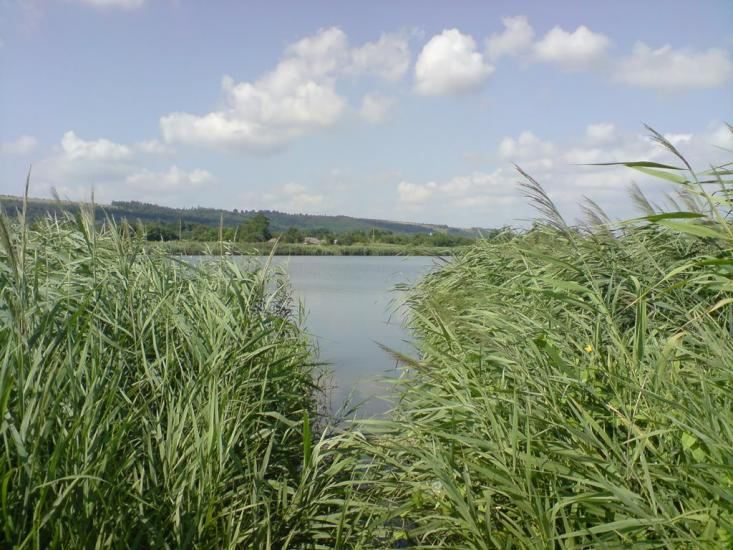 Перельоти з panoramio.com - Перелеты