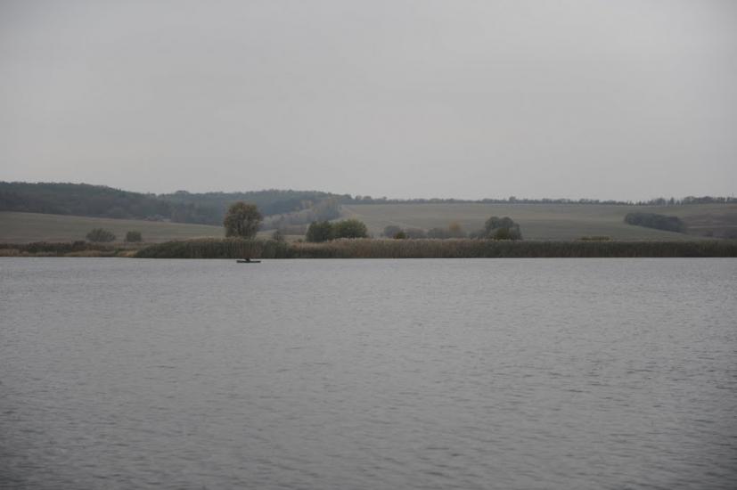 Заріччя з panoramio.com - Заречье